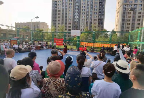 忆建党百年,唱响青春年华 北华大学音乐学院送文艺走进中海国际社区