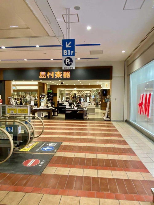 业内重磅 saga吉他正式登陆日本 最大连锁乐器公司推荐产品