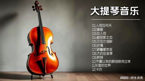 跨越音乐边界,大提琴演绎流行与古典交响,每一音符都触动心弦